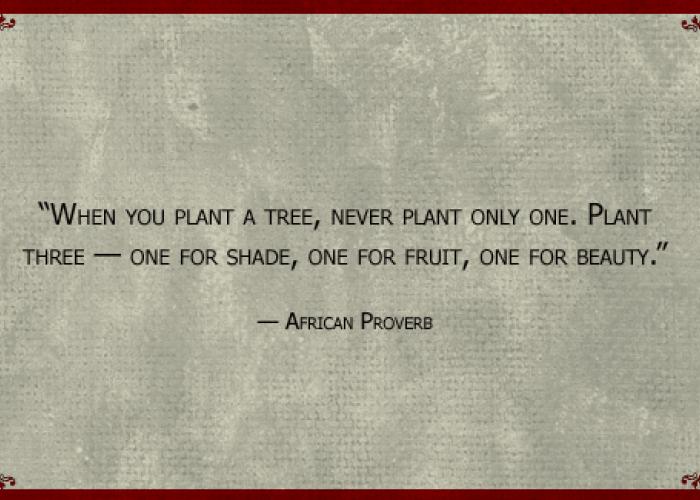 african_proverb.jpg