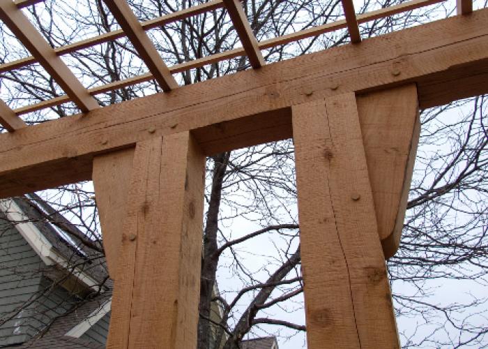 timber_trellis.jpg