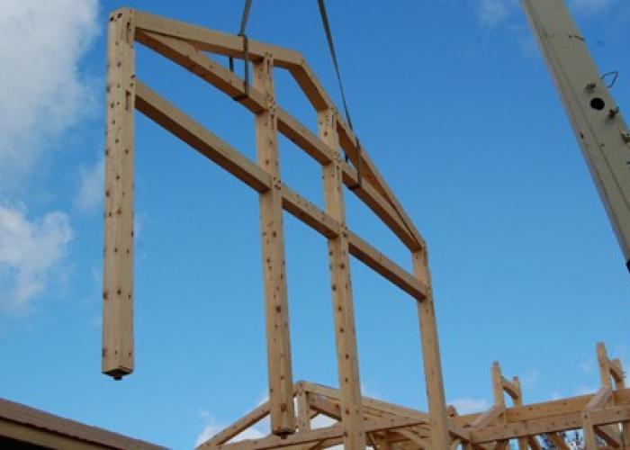 eastern_white_pine_bent_raising.jpg