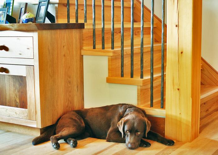 molly_by_stairs_custom_woodwork.jpg