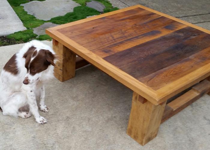 dexter_with_table_pod.jpg
