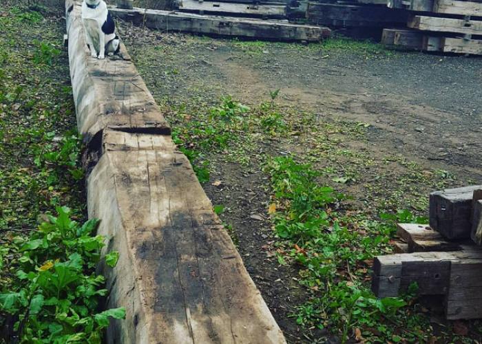 kairo_reclaimed_timber.jpg