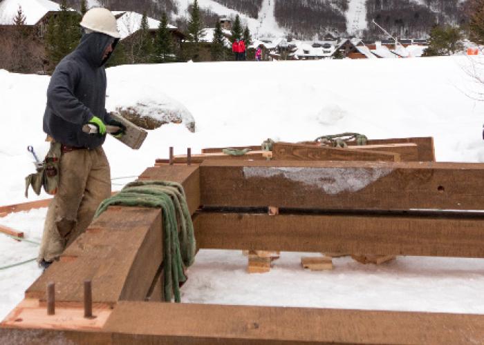 paul_with_beetle_stowe_vt_raising_new_energy_works.jpg