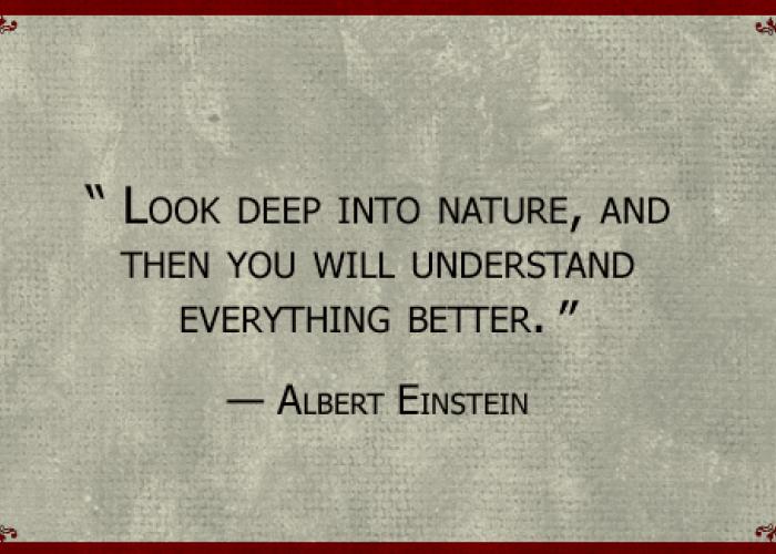 einstein_quote.jpg