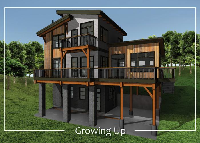 otsego_lake_timber_cottage_design.jpg