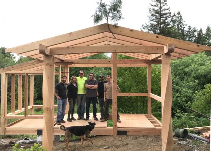 twist_timber_garden_shed.jpeg