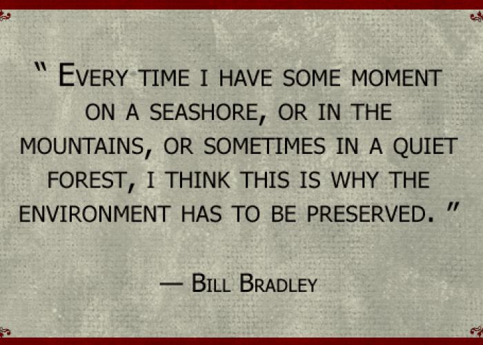 bill_bradley_quote.jpg