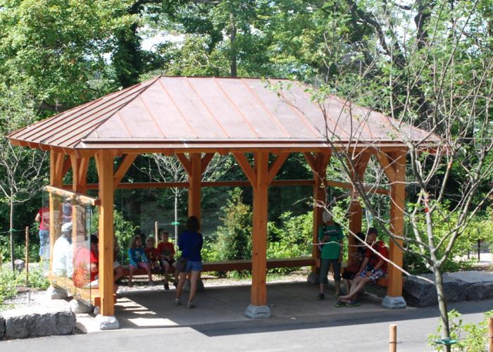 timber_frame_trolley_stop_pavilion.jpg