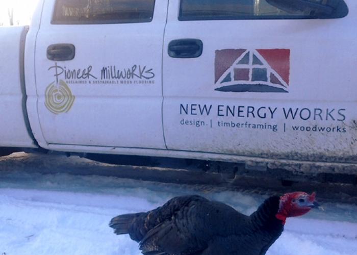 thanksgiving_guard_turkey.jpg
