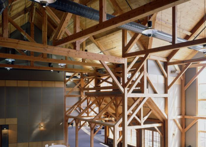 timber_frame_within_a_frame_welch_allyn.jpg