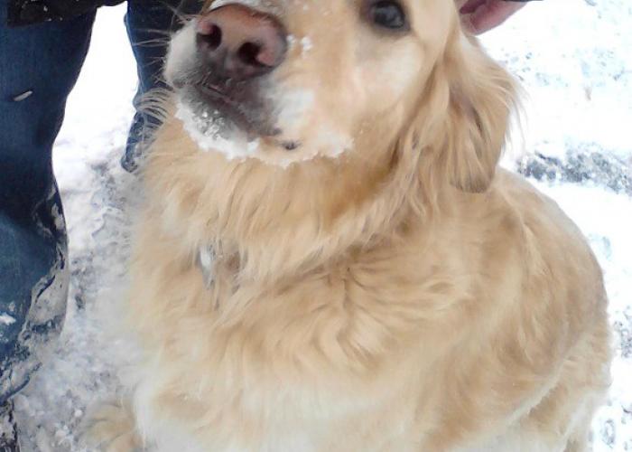snow_face_charlie.jpg