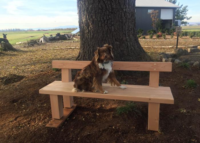 new-jewel-sherlock-bench.jpg