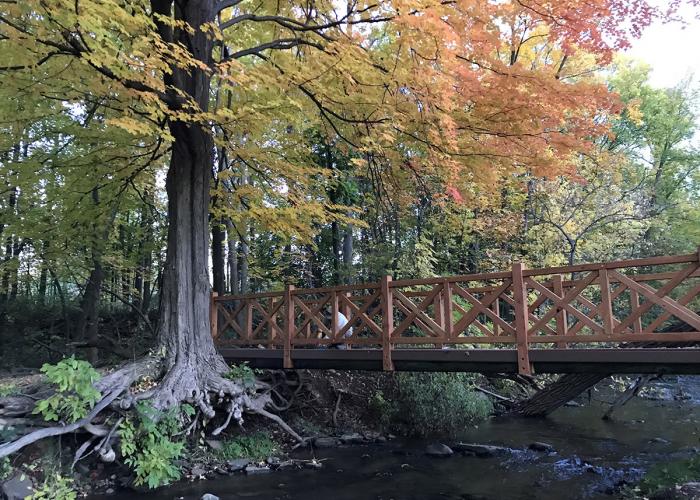 dave-bridge-handmade.jpg