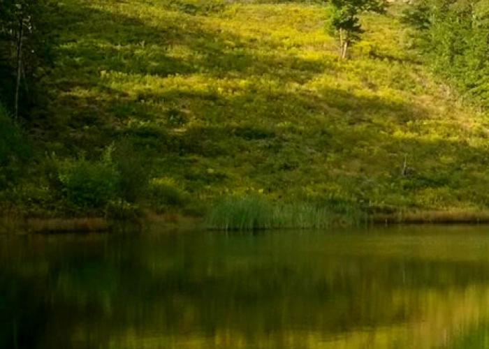olsen_timber_frame_across_pond.jpg