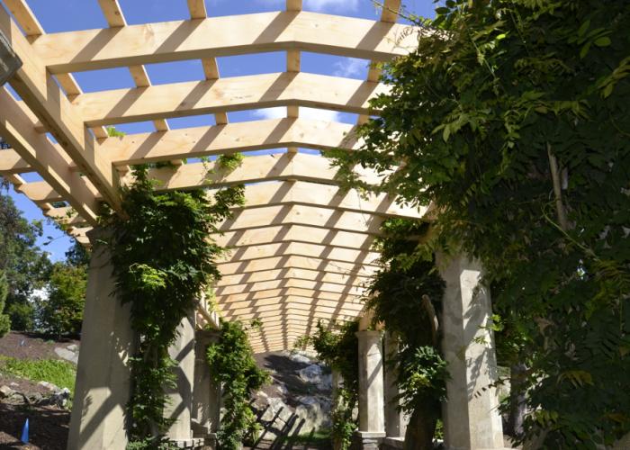 timber_pergola_yellow_cedar_ct.jpg