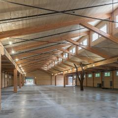 The interior of Tomorrowland fine woodworking shop, featuring complete CLT construction and a structural found-form broadleaf maple.